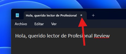 Truques para o Bloco de Notas do Windows 11 para usá-lo como um profissional